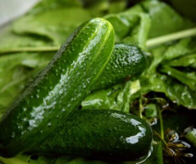 Kurk_feat Fresh Pickles