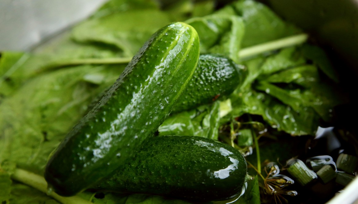 Fresh Pickles