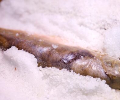 Fish in salt-crust