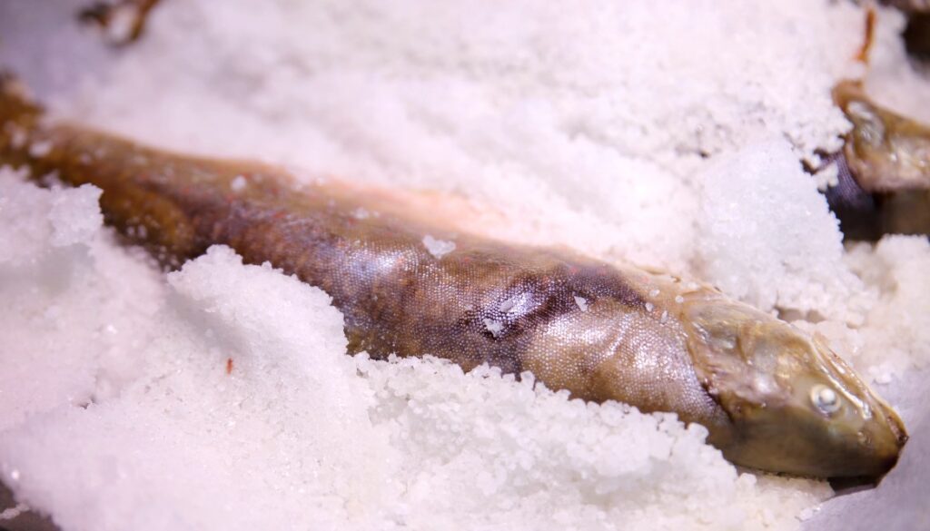 Fish in salt-crust