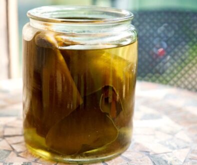 Kombu dashi – Japanese seaweed stock
